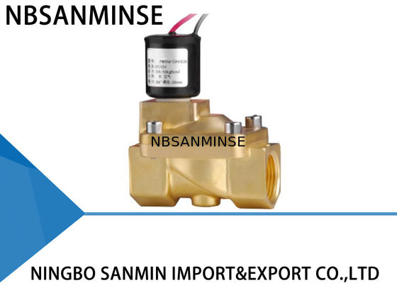 Aduana P.M. válvula electromagnética de cobre amarillo de 2/2 maneras que traba la válvula electromagnética para el gas