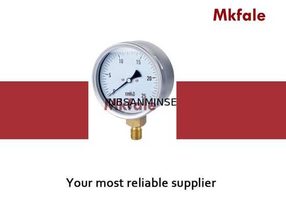 Indicador de presión llenado líquido de cobre amarillo de agua de la conexión IP44 63m m 75m m 100m m 160m m